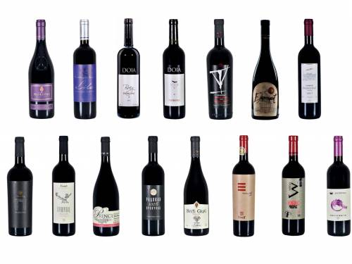 liga izuzetnih prokupaca