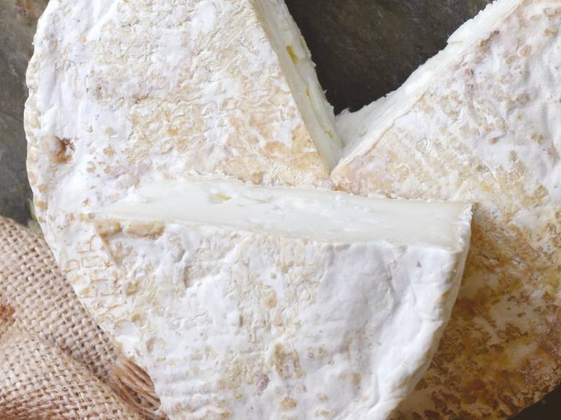 sasvim drugačiji sir