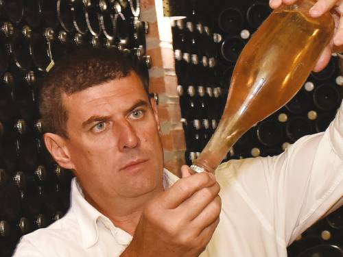 dobro grožđe je suština dobrog vina