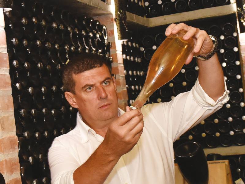 dobro grožđe je suština dobrog vina