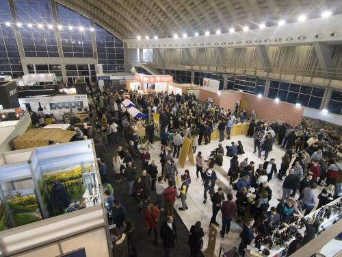 beowine mesto susreta globalne vinske kulture