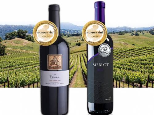 dva zlata za srpski rubin