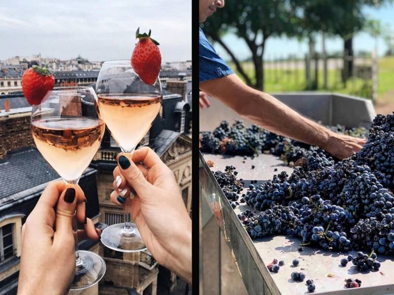 ovako influenseri fotografišu vino