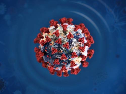 korona virus odlaže vinske događaje