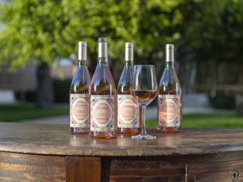 lansirano vino sa potpisom kuće dolce gabbana