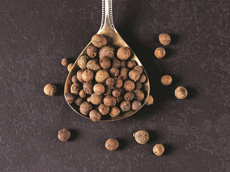 ceo svet u jednom zrnu