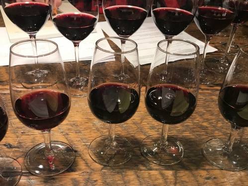 objavljeno 16 novih nosilaca titule master of wine