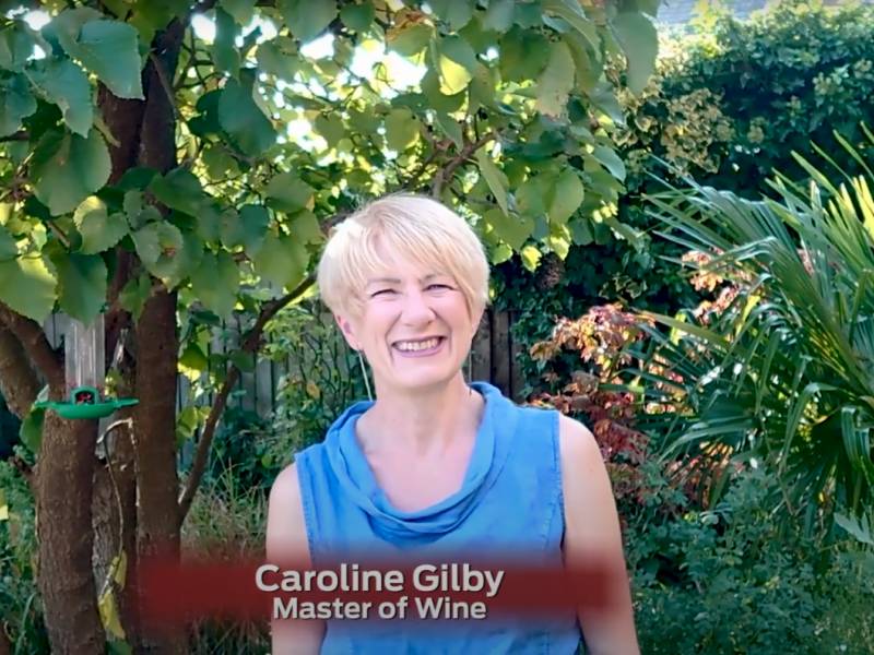 probrani gosti u promo spotu za dan prokupca