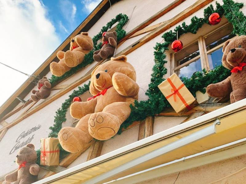 zemunski medvedići prodaju se na humanitarnoj aukciji