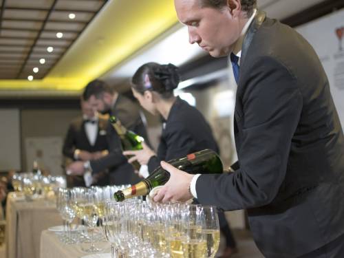 somelijeri iz cele evrope nadmetaće se u beogradu