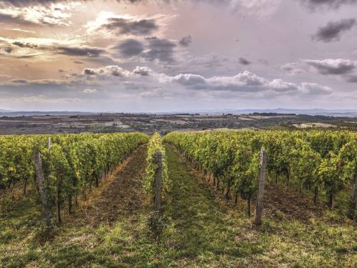 šta je nama prokupac