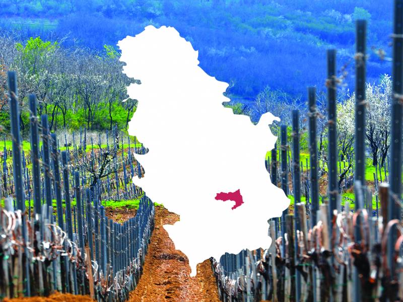 vinograde čuvaju planine