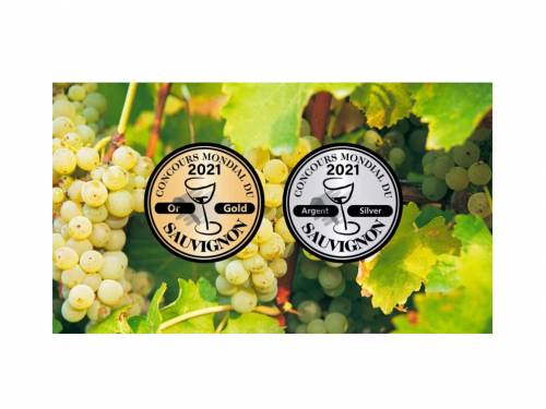 najbolji sovinjon blan dolazi iz južne afrike