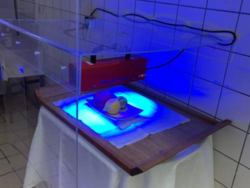 prvi eksperimentalni covid free restoran