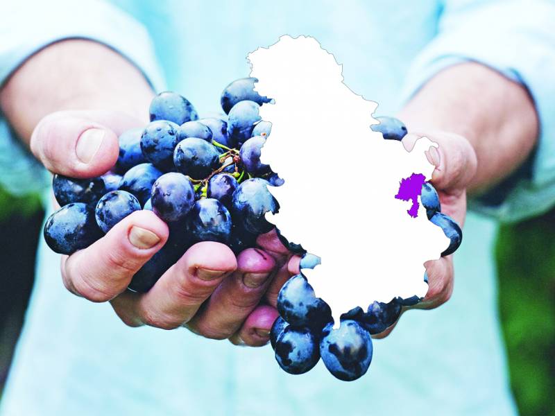 nasleđe boga dionisa