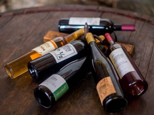 organski sertifikat za vina vinarije ivanović