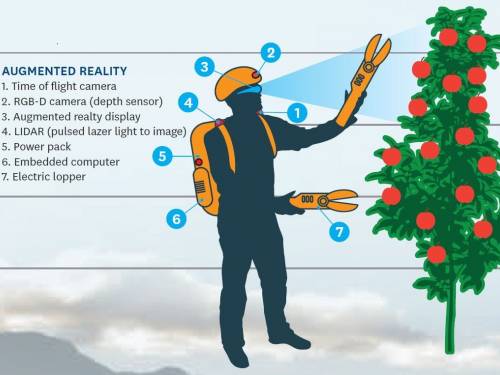 rezidba uz pomoć robota i veštačke inteligencije