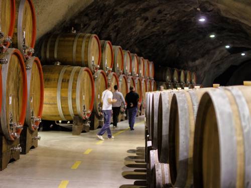 osam medalja na biwc za vina iz plantaža