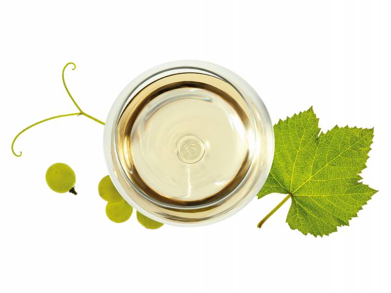 sva lica belog sovinjona