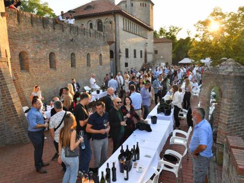 najbolje od fruške gore 