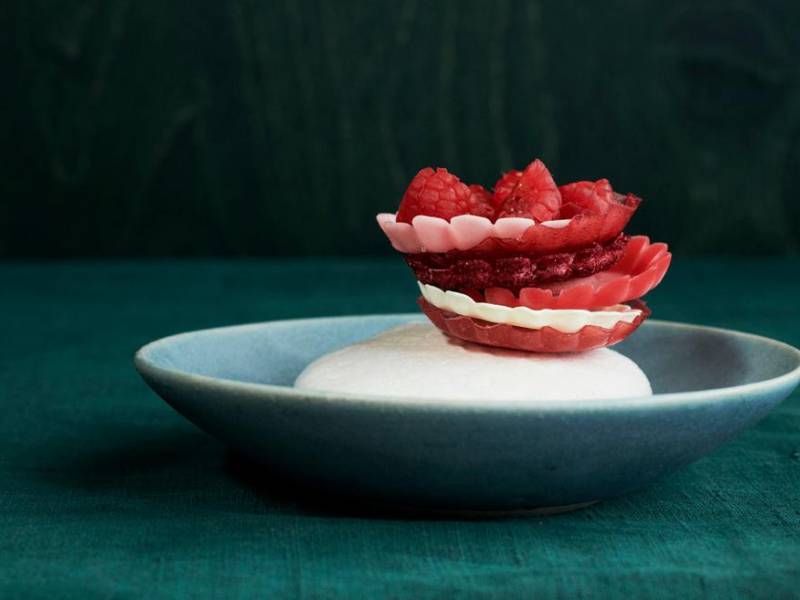 gastro pregled sijaj, sijaj zvezdice