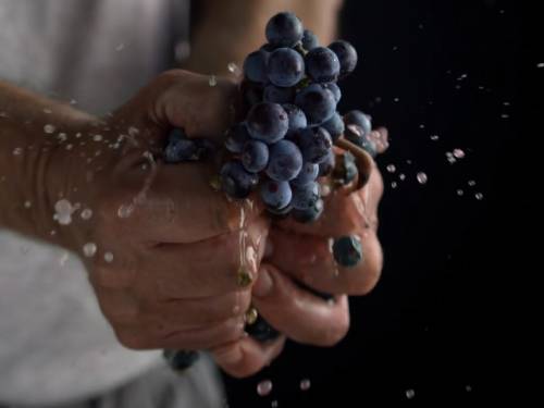 prokupac rođen u srbiji 