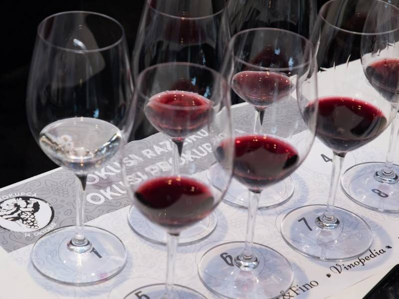 program dana prokupca najbogatiji do sada 