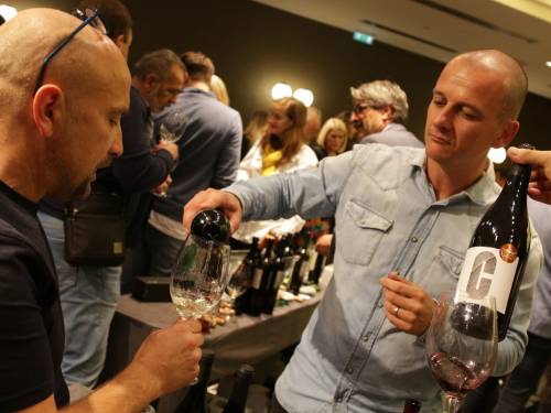 prva regionala pogled u lokalnu vinsku baštinu