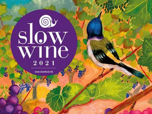 prvi slow wine vodič kroz severnu makedoniju
