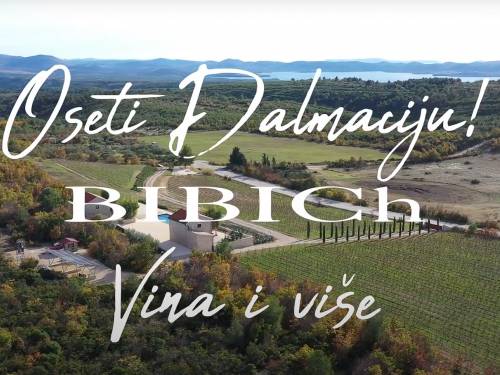 vinarija bibich oseti vino, oseti dalmaciju 