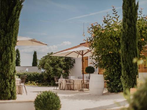 vinsko čudo iz skradina