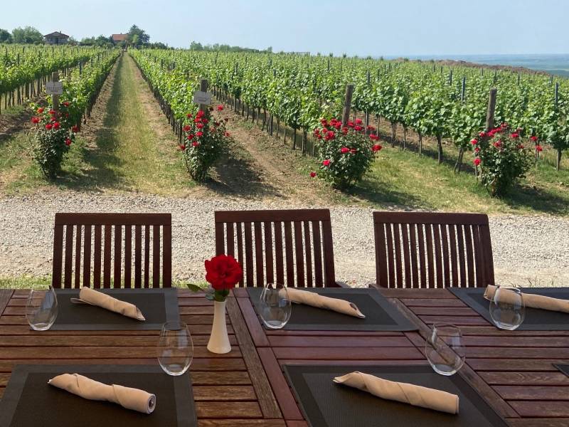 atelje vina šapat ima novi, vrhunski tim