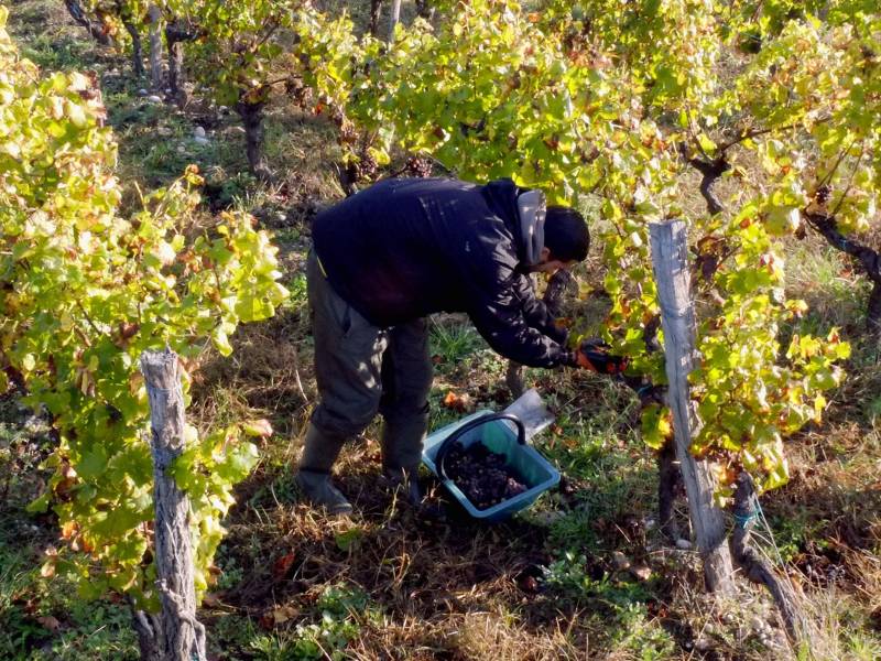 bordo 2021 složena godina u velikom teroaru