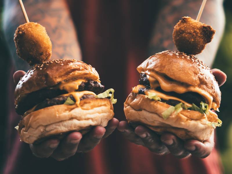 gastro pregled vladavina burgera