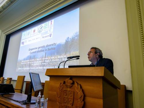 u srbiji otkriveno 11 nepoznatih sorti vinove loze 