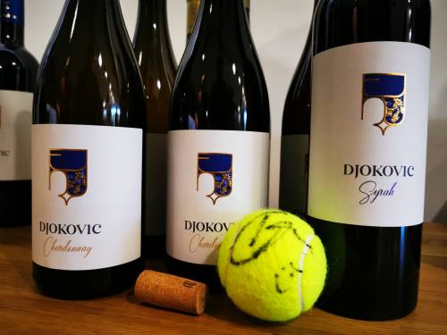 vinarija đoković lansirala je svoja prva vina 