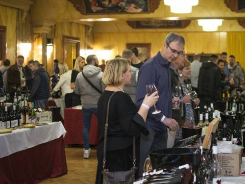 bogat prateći program novosadskog salona vina