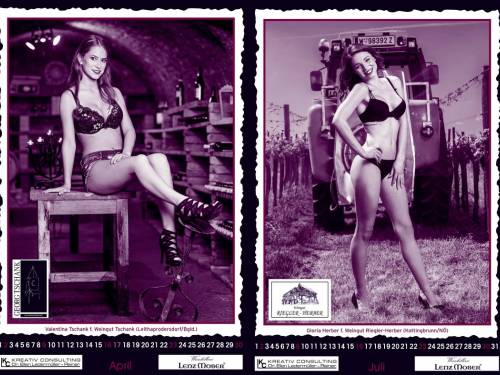 erotski vinski kalendar ponovo oduševio 