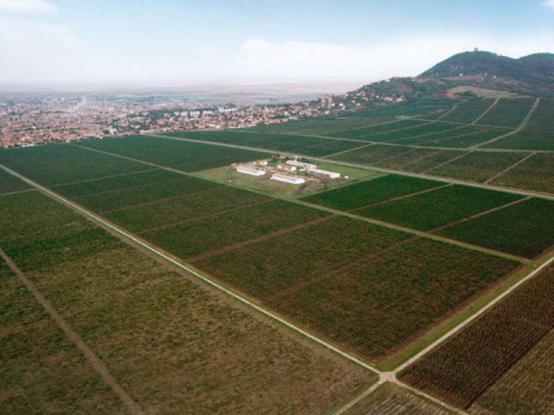 vršački vinogradi imaju novog vlasnika 