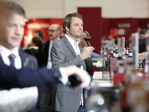 prokupac oduševio posetioce sajma prowein u nemačkoj 