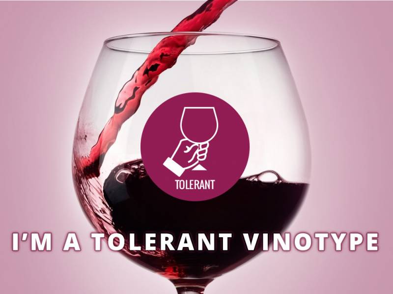 otkrijte koji ste vinotip i zašto volite vina koja volite