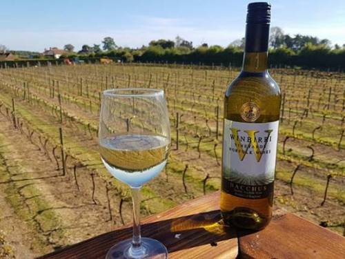 platina dekantera za belo vino iz engleske 