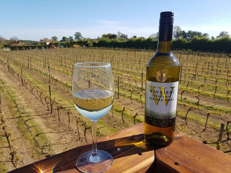 platina dekantera za belo vino iz engleske 