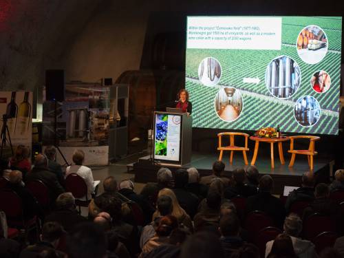 crna gora prvobitna domovina zinfandela