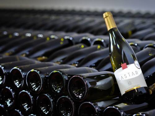 belo vino godine u srbiji lastar chardonnay 2016 