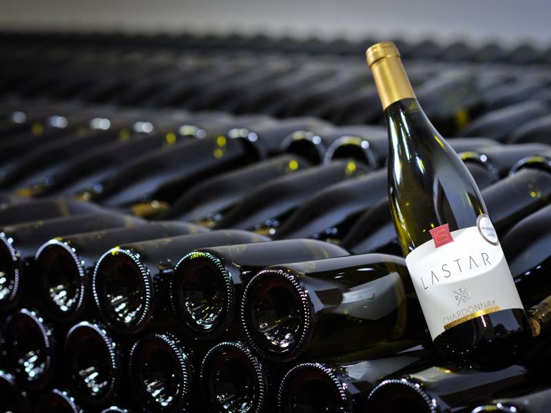 belo vino godine u srbiji lastar chardonnay 2016 
