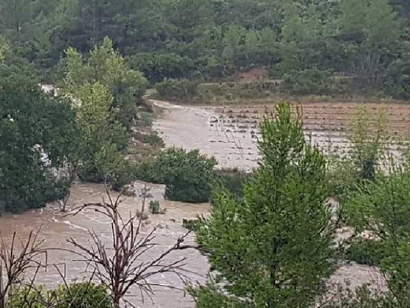 poplava oštetila veći broj francuskih vinograda