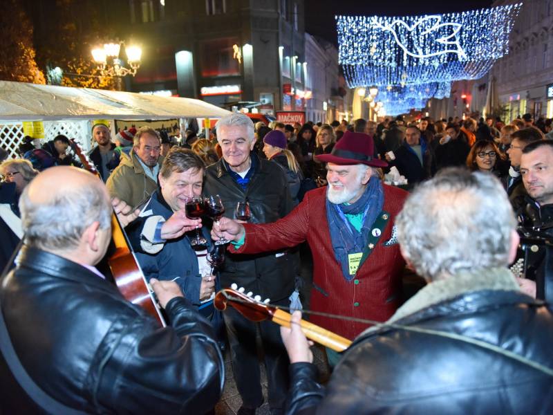 mačkov dan portugizera preselio se u irig