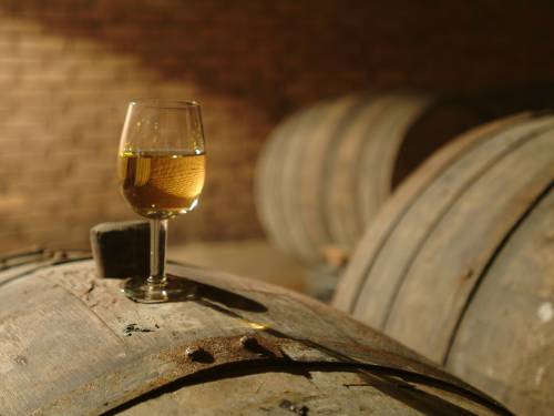 amerika otkriva vinsko bogatstvo istočne evrope 