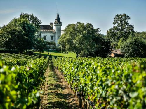 albarinjo i marselan u vinima iz bordoa 